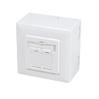 Cat6 netwerkdoos opbouw wit - afgeschermd